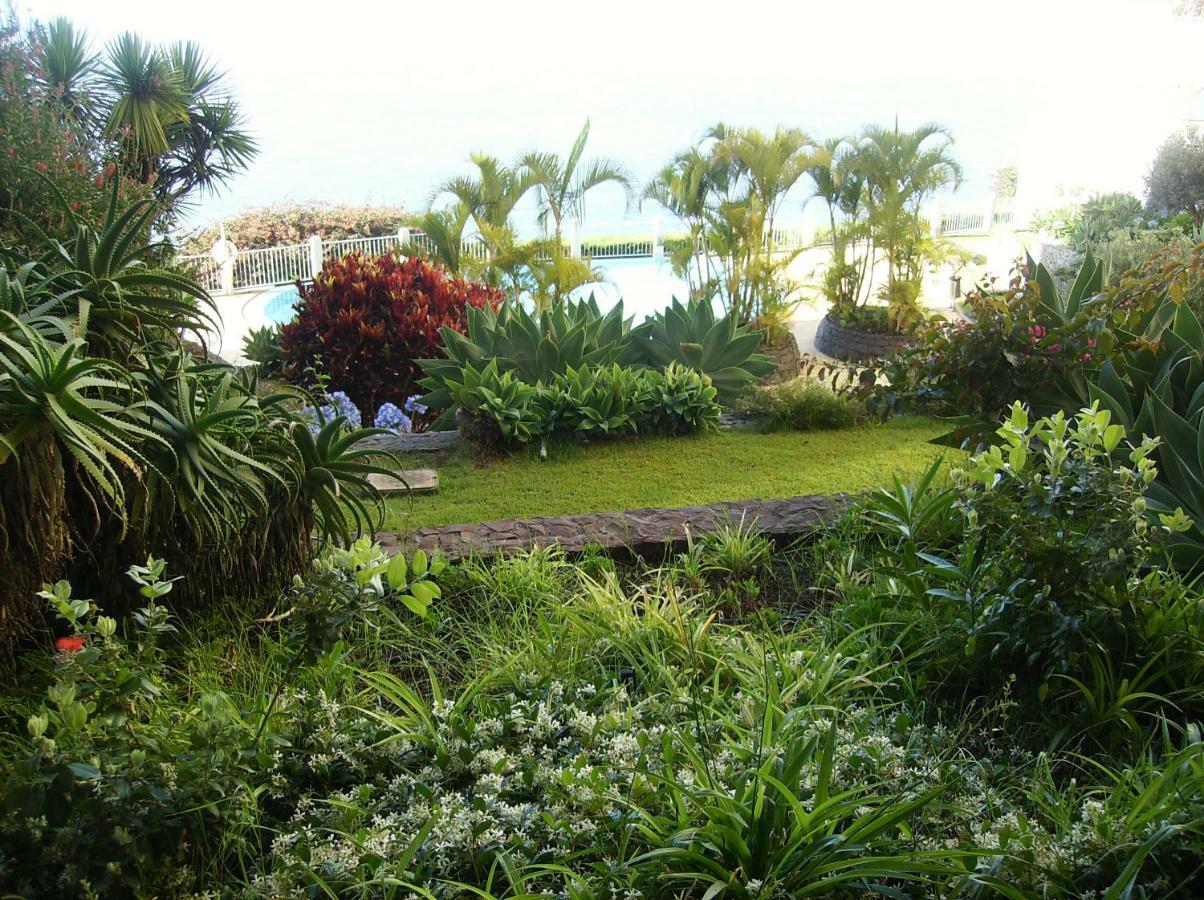 Oceanfront Apartment Funchal  Exteriör bild